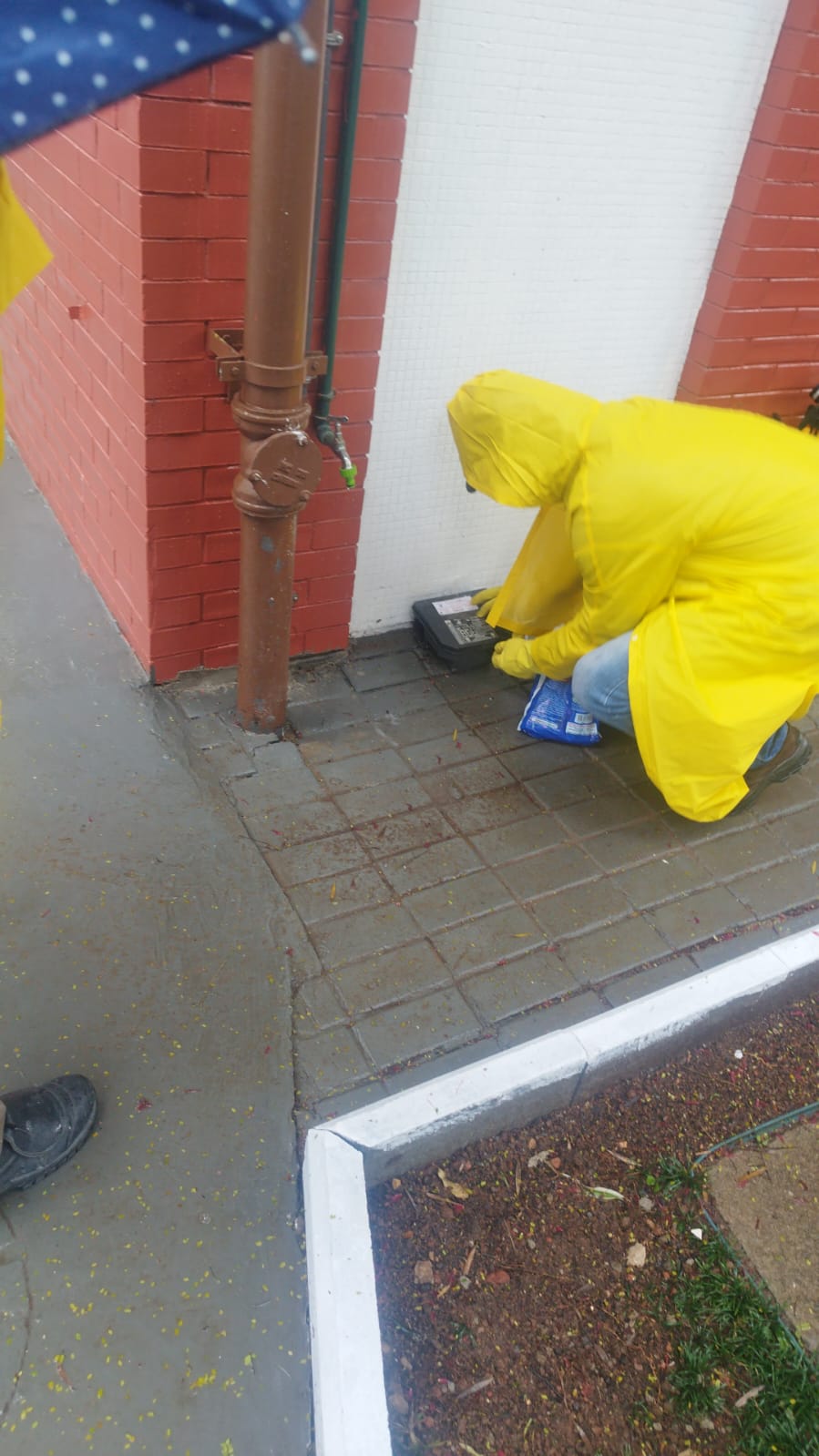 Técnico verificando porta-isca ao lado de tubulação de água pluvial